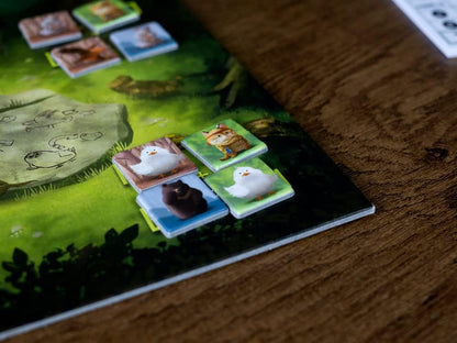 LOCO MOMO JUEGO DE MESA FAMILIAR DE COLOCACIÓN Y ESTRATEGIA PARA 1 A 4 JUGADORES | MALDITO GAMES